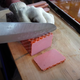 Knife slicing block of processed meat
